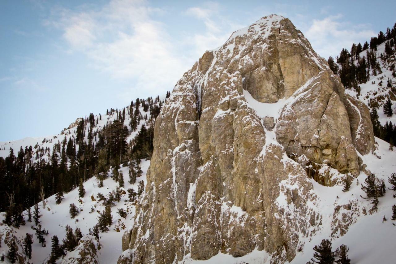 Wildflower 55 Mammoth Lakes Bagian luar foto